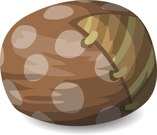 Hnědý vak.png